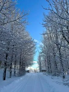 Cozy, forest cabin #11 in Hvolsvöllur - Self check-in, outside jacuzzi! - Fíflholt