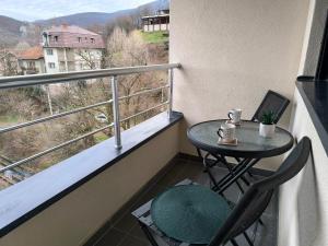 Forest River Sokobanja