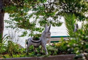 Aga Apartments Nemira