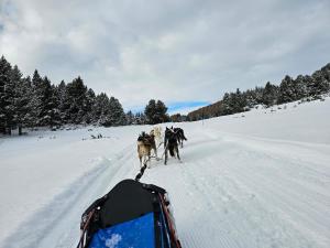 Chalet Cosy à Bolquère