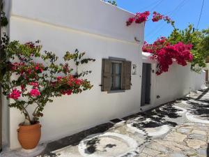 Garden Village House in Pythagorio-Hora, Samos Island
