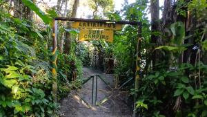 Casa em Ilha do Mel na Praia Grande Nova Brasília