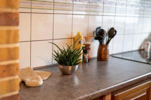 Appartements L-AuthAlsace : photos des chambres