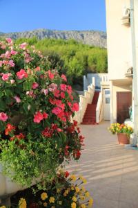 Apartmani Sunce i More