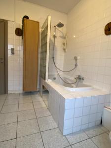 Ruime woning nabij Antwerpen en haven