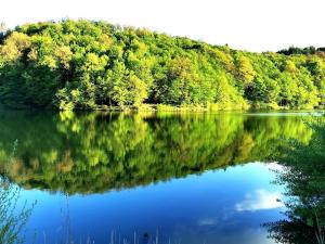 Tryavna Lake Apartment