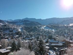 Appartement 1 chambre et mezzanine à Megève avec balcon et animaux admis - FR-1-453-57