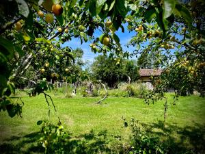 La Main du Cœur Chambre dhôtes de charme à la campagne