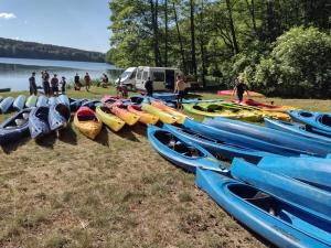 Domki nad jeziorem i pod lasem