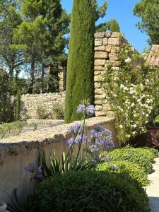 Maisons d'hotes Le jardin suspendu : photos des chambres