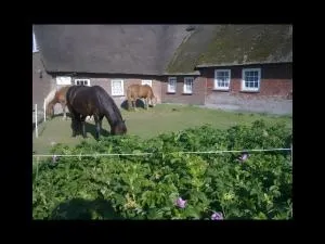 Hof Woogebreeger - Oland