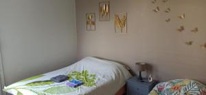 Sejours chez l'habitant Entre Ville & Nature-Sejour ideal a Massy : Chambre Triple