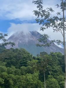 Wisma Rajawali -Registrasi lewat Wisma KLG