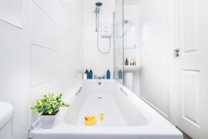 Spacious Royal Blue 3-Bedroom Family Home Sleeps 6, Free Parking & Wi-Fi, Garden and Private Patio