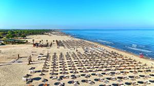 Olive Tree Apartment - 290