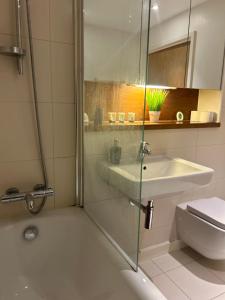 Quibid Comfort Cove QS016