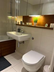 Quibid Comfort Cove QS016