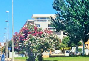 Attico Belvedere sul mare img32