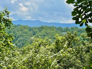Mountain views, pet friendly, & a hot tub! Located near Dollywood & the Smokies!