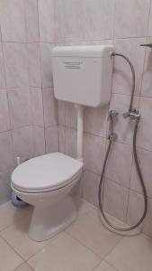 Apartment Zeleny Pojas