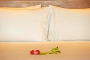 La Hacienda Bahia Paracas