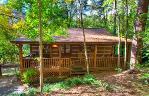 1BR log cabin sleeps 4 with screened-in hot tub and 1 free Dollywood ticket!