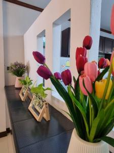 Anda Betong Homestay