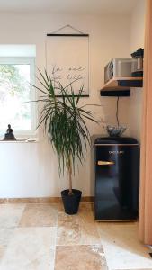 Maisons de vacances Les Gites Sur La Colline - 21 m2 studio with shared pool : photos des chambres