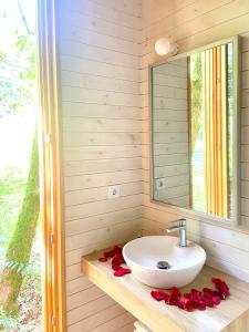 Cabañas Enoturismo María Manuela