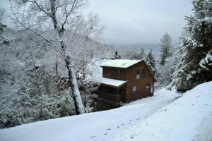 Hot tub and pool table- perfect 2 BR log cabin!