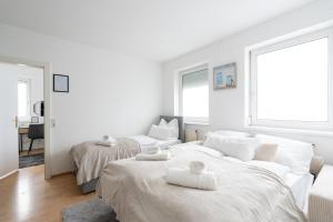 COY Apartments Steyr - Your Home for Work & Relaxation
