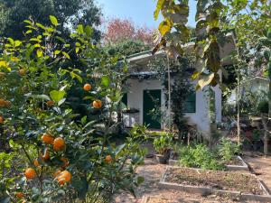 Kradandam Home & Cafe