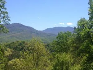 STUNNING cabin with a MOUNTAIN VIEW, hot tub, and dog friendly! - 皮特曼中心