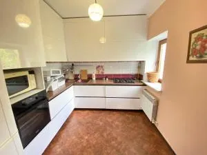 Дом для отпуска - Codru