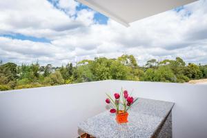 Apartment Hugo - Complex perfect for families