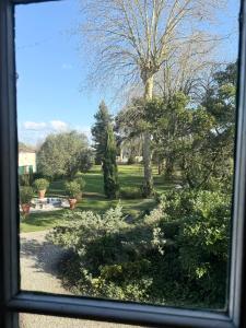 Appartements Escapade de Bordeaux : photos des chambres