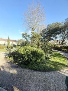 Appartements Escapade de Bordeaux : photos des chambres