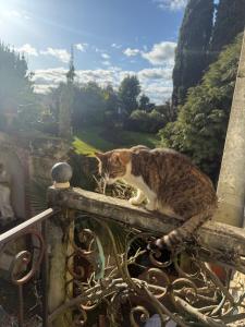 Appartements Escapade de Bordeaux : photos des chambres