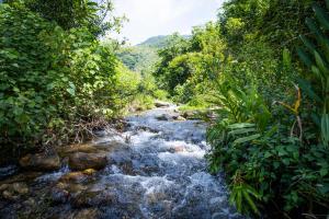 Casa ampla c piscina e churrasq em meio a natureza