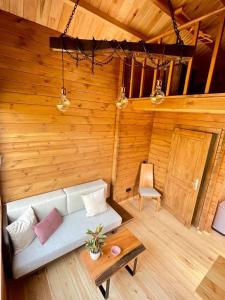 Mountain Eco Shelter 6