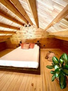 Mountain Eco Shelter 8