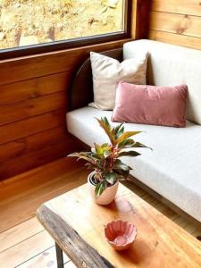 Mountain Eco Shelter 8