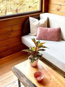 Mountain Eco Shelter 9