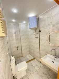 Isis Pyramids and sphinx view