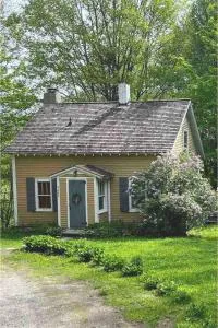 Yellow Sweetie at the Base of Stratton - Intervale