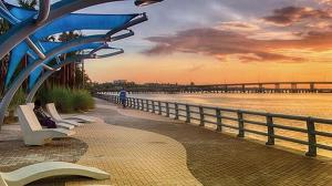 Suncoast Serenity
