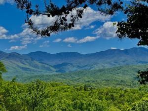 Perfect 2BR with fire pit, hot tub, and the BEST Smoky Mountain view!