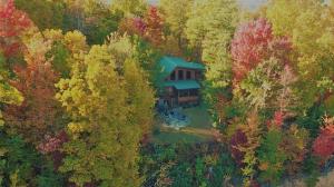 Perfect 2BR with fire pit, hot tub, and the BEST Smoky Mountain view!