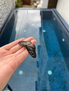 Lanka villa mirissa private villa 6bedrooms