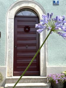 Galeriezimmer im Jurahaus